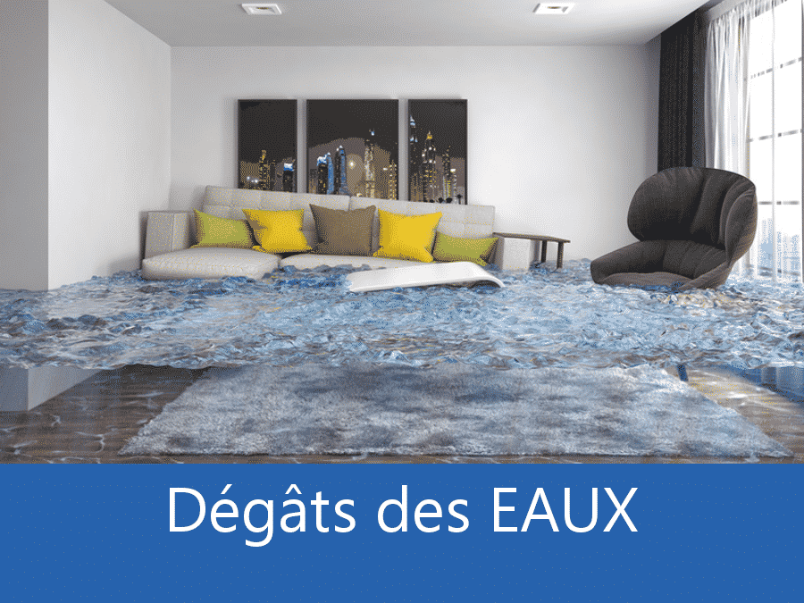 expertise humidité 45, expert humidité Orléans, cause moisissure Orléans, solutions humidité Loiret,