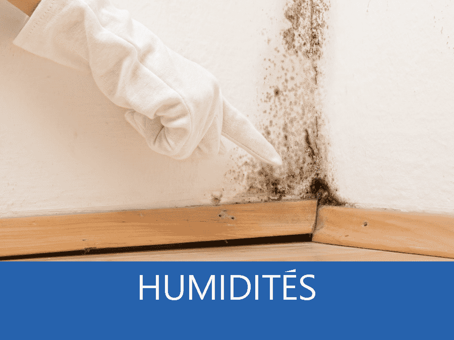 Diagnostic humidité : déroulement, causes humidité, travaux